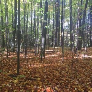 Meet your Posher, Clara